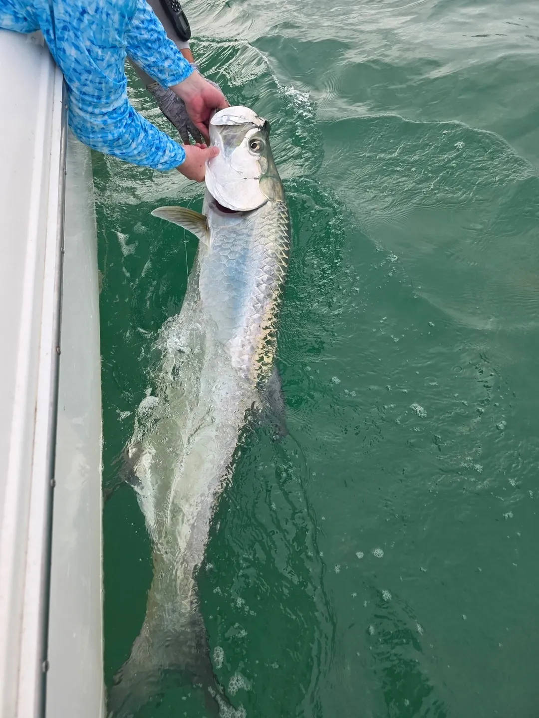 Big fish caught near boat's edge.
