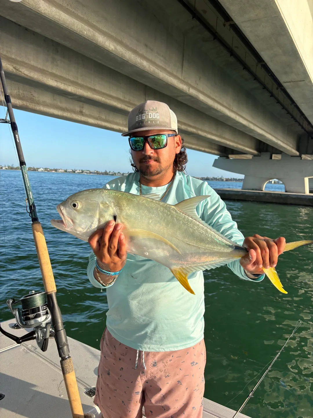 Person displays big fish on sunny day